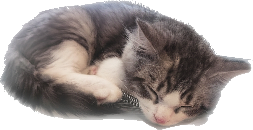 猫のイラスト